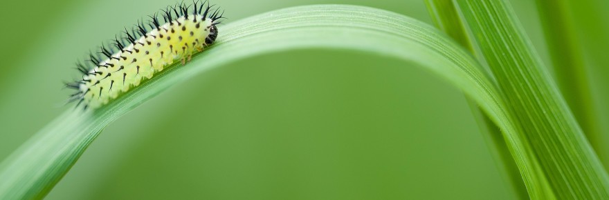 Featured Posts Slideshow3
