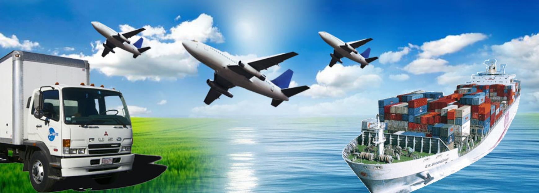 Specialization at UR Transport &  Logistics